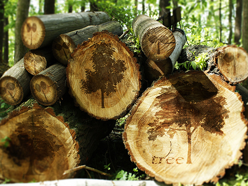 木材加工为什么在工业领域那么火？